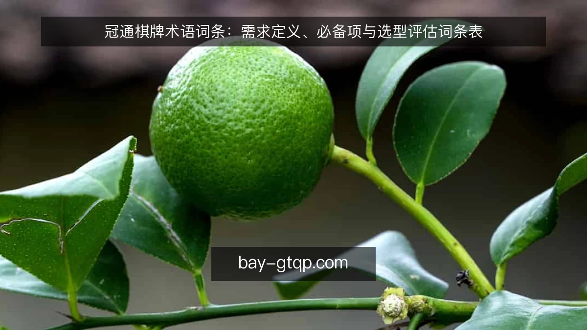 冠通棋牌术语词条：需求定义、必备项与选型评估词条表